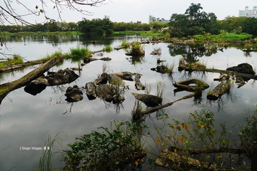 P1030057