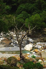 P1030639