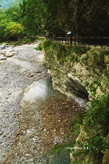 P1030646