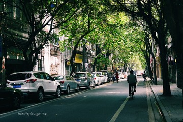 P1010288