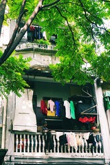 P1010302