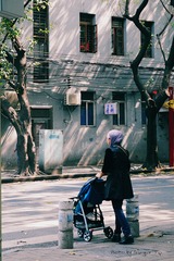 P1010316