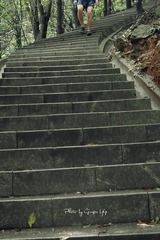 P1060907
