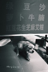 P1070293