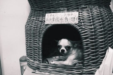 P1070314