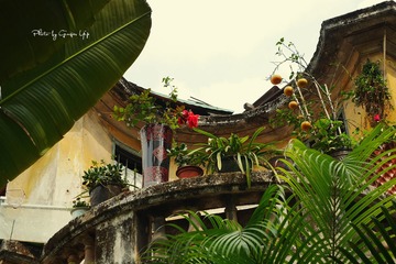 P1010245