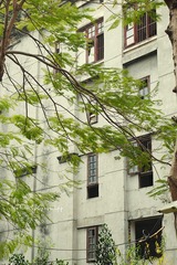 P1010247
