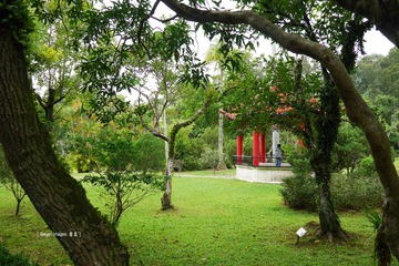P1000665