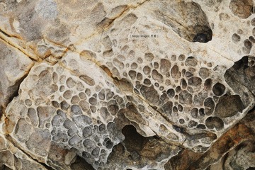 P1010526