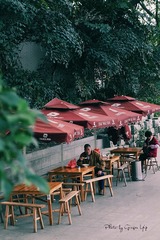 P1000784