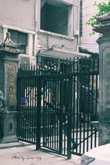 P1000803