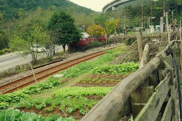 P1020630