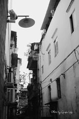 P1070493