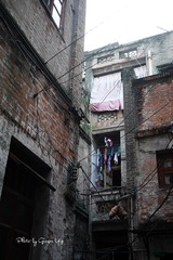 P1070542