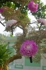 P1070783