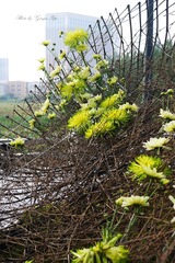 P1070812
