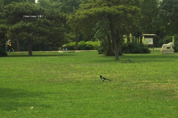 P1080248