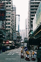 P1100291