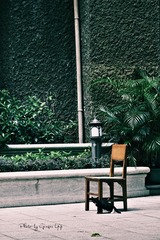 P1110309