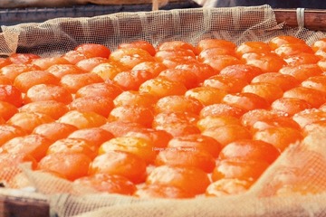 P1100609