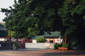P1100645