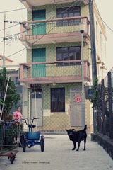 P1100666