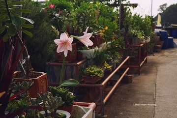 P1100679