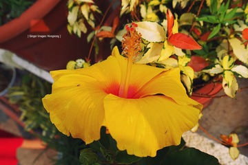P1100681
