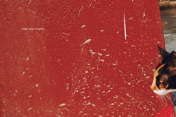 P1100687