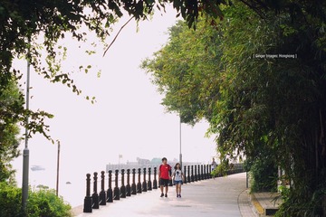 P1100691