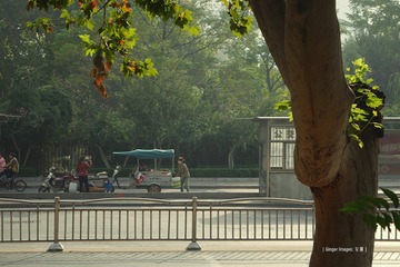 P1080582