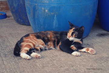 P1100754