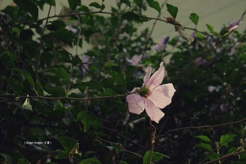 P1080603