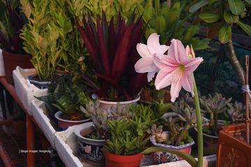 P1100757