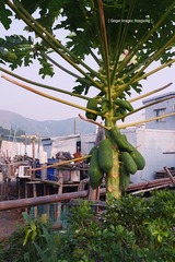 P1100767