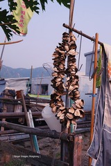 P1100768
