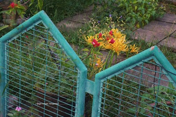 P1100774