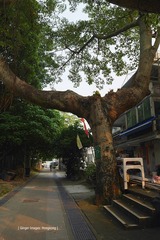 P1100793