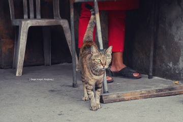 P1100811