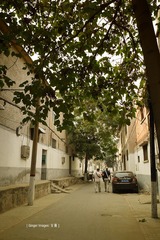 P1080647