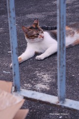 P1100938