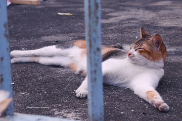 P1100946