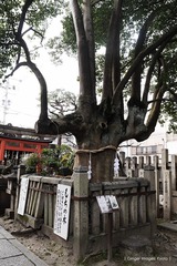 P1180364