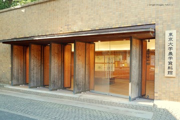 P1130174