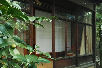 P1190965