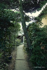 P1190993