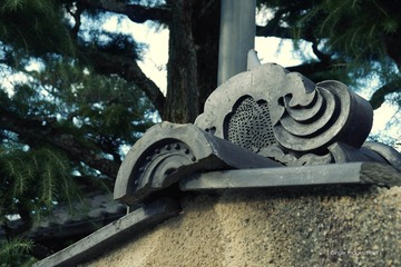 P1200955