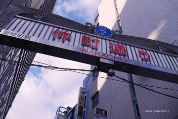 P1120253t