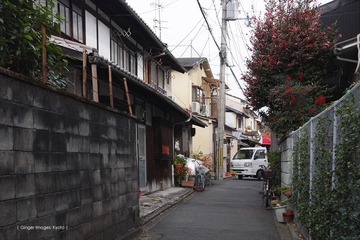 P1180380t