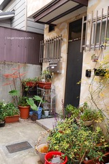 P1180385t